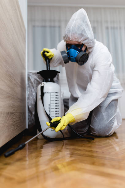 Emergency Pest Control in Bethel Park, PA